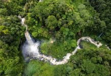 Mengungkap Proses Alami di Balik Kesegaran Air Pegunungan