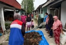 Pertamina Perkuat Ketahanan Pangan Nasional Lewat Inovasi Bioflok