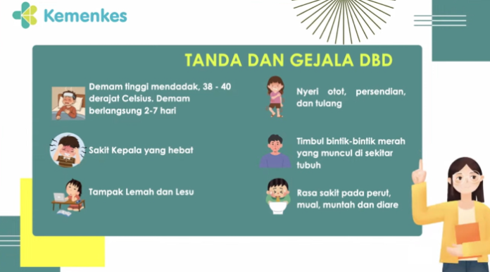 gejala_dbd
