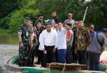 Wapres Gibran dan Wagub Jihan Pantau Pembangunan Jembatan Way Bungur, Percepat Konektivitas Antarwilayah