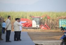 Panen Raya di Malang, Presiden Prabowo Targetkan Swasembada Gula dalam Dua Tahun