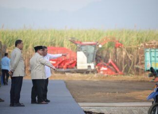 Panen Raya di Malang, Presiden Prabowo Targetkan Swasembada Gula dalam Dua Tahun