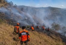 Api Membakar Kawasan TNBTS, Tim Gabungan Buat Sekat hingga Water Bombing
