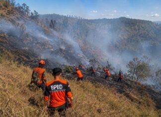 Api Membakar Kawasan TNBTS, Tim Gabungan Buat Sekat hingga Water Bombing