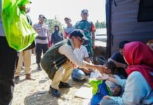 Bentuk Satgas, Pemerintah Percepat Pelayanan dan Kebutuhan Warga Terdampak Gempa NTT