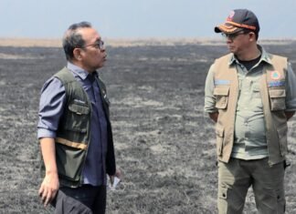BNPB Kerahkan Tim dan Helikopter Tangani Dampak Gempa M7,7 di Nagekeo