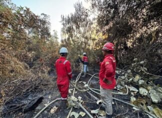 Kemenhut Ancam Sanksi Tegas Pemegang PBPH Abaikan Karhutla di Tengah El Nino