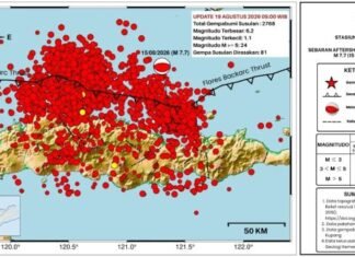 Gempa Susulan Flores M7,7 Capai 2.768 Kejadian, BMKG Imbau Warga Tetap Waspada