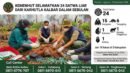 Puluhan Satwa Liar Korban Karhutla di Kalimantan Barat Berhasil Diselamatkan