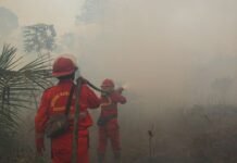 Hotspot Karhutla Naik, Kemenhut Perkuat Operasi di Kalteng dan Kalbar