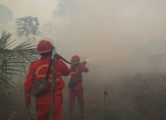 Hotspot Karhutla Naik, Kemenhut Perkuat Operasi di Kalteng dan Kalbar