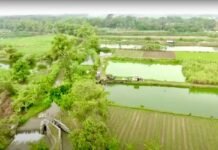 Mendagri: Reforma Agraria Harus Berikan Keadilan dan Manfaat untuk Masyarakat