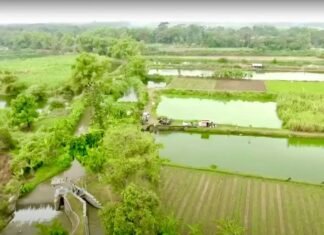 Mendagri: Reforma Agraria Harus Berikan Keadilan dan Manfaat untuk Masyarakat