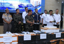 Bareskrim Bongkar Penyelundupan 12 Boks Benih Lobster Senilai Rp5,8 Miliar