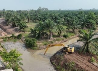 Cegah Gagal Panen, Kementerian PU Selamatkan 8.000 Hektare Sawah di Lampung