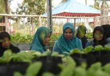 Dewi Ansar Buka OKE GAS di Bintan, Perkuat Peran Keluarga Cegah Stunting