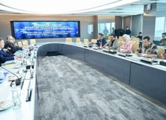 Indonesia dan Finlandia Jajaki Kerja Sama Pusat Data dan Infrastruktur Kecerdasan Artifisial