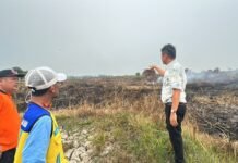 Karhutla OKU Timur Capai 45 Hektare, Bupati Lanosin Perkuat Penanganan