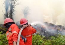 Kemenhut Kawal Langsung Karhutla, Tanjung Puting hingga Sampit Jadi Fokus