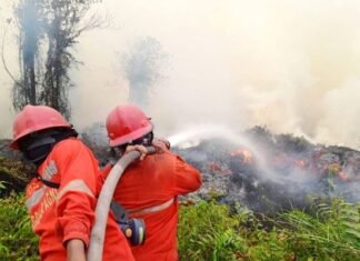 Kemenhut Kawal Langsung Karhutla, Tanjung Puting hingga Sampit Jadi Fokus