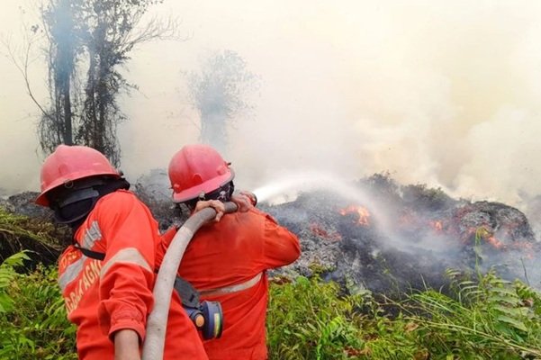 Kemenhut Kawal Langsung Karhutla, Tanjung Puting hingga Sampit Jadi Fokus