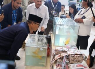 Mendes Yandri Dorong Produk Hilirisasi Desa Tembus Pasar Dunia, Pala Jadi Andalan Ekonomi Baru