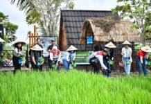 Pertamina Dorong Pertanian Mandiri Berbasis Energi Bersih di Subak Sembung Bali