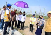 Sari Yuliati Dorong Tambahan Anggaran Irigasi NTB, Perkuat Lumbung Pangan