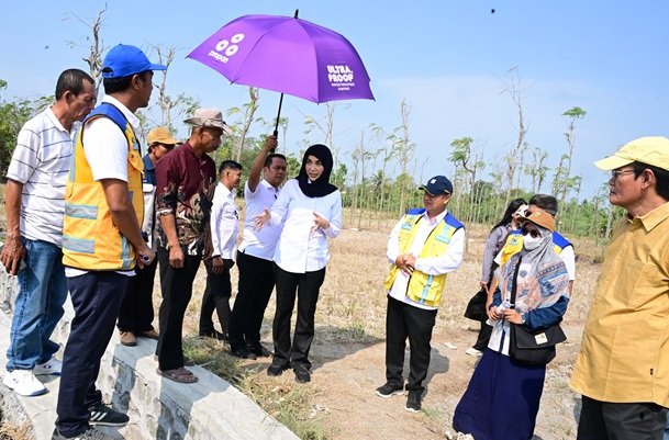 Sari Yuliati Dorong Tambahan Anggaran Irigasi NTB, Perkuat Lumbung Pangan