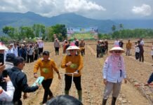 Bupati Lebong Ajak Warga Manfaatkan Lahan Tidur untuk Budidaya Kedelai